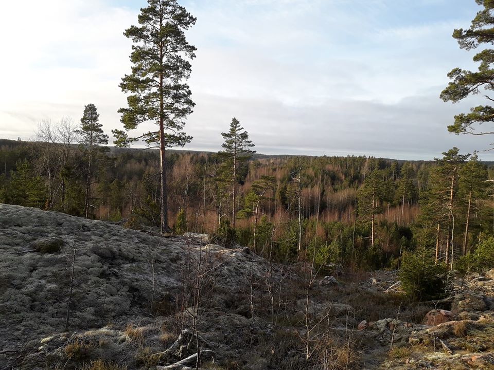 Roomäki, vaellus, mökkivuokraus, huhkaniemi, lomamökki, majoitus, karjalohja, nummijärvi, suomen luonto