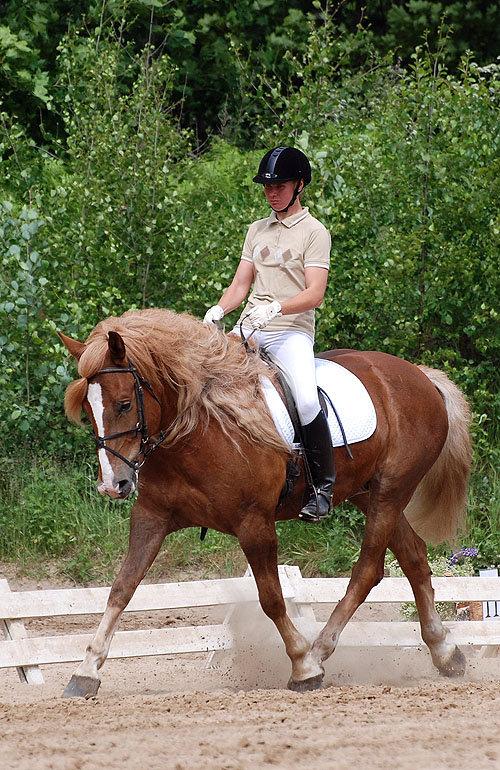 hevonen, ratsastus, m&ouml;kki, vuokraus, huvila, j&auml;rvi, kes&auml;loma, lohja, karjalohja, maasto